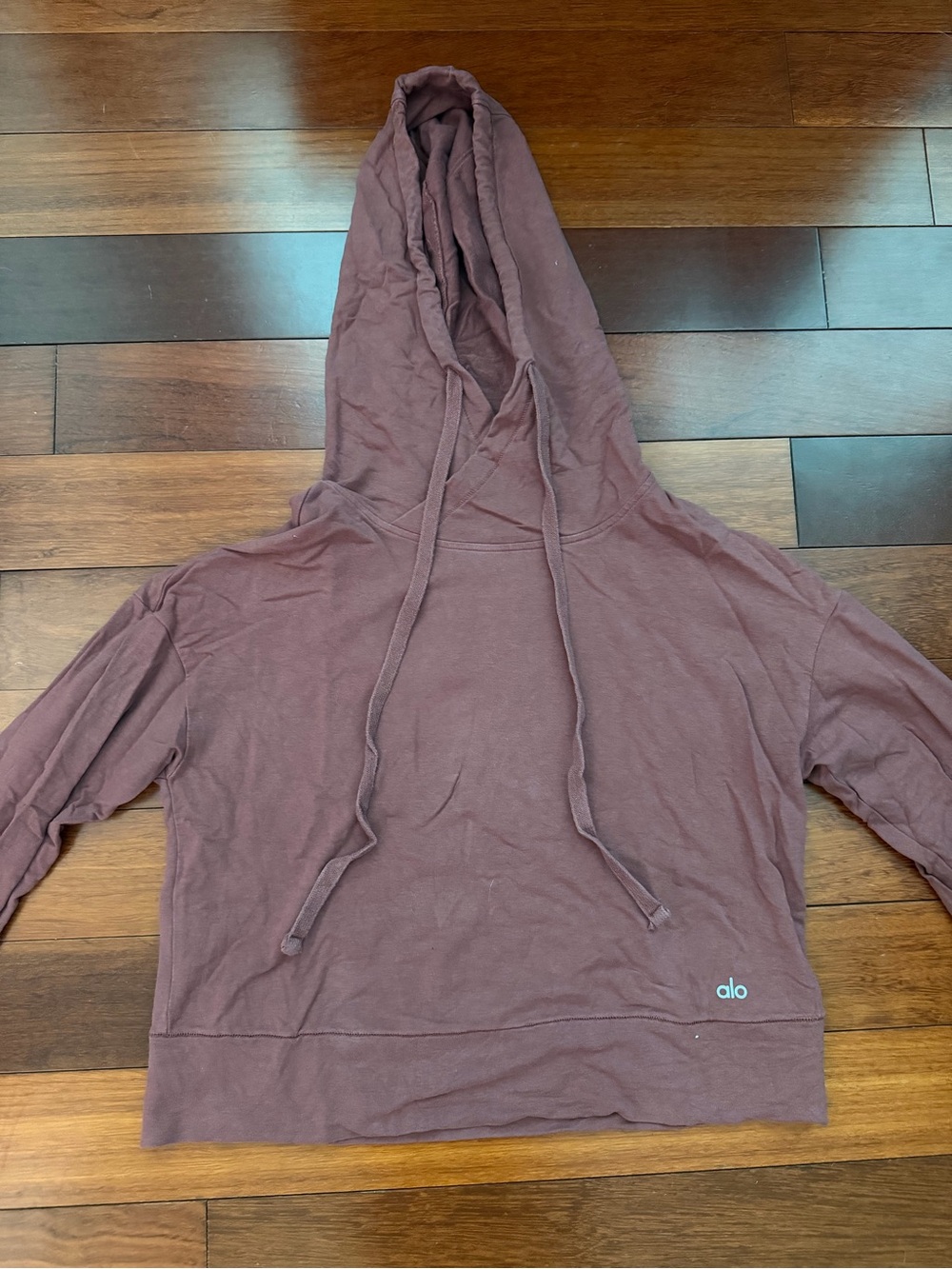 Alo Yoga Mauve Cropped Hoodie Sz. S